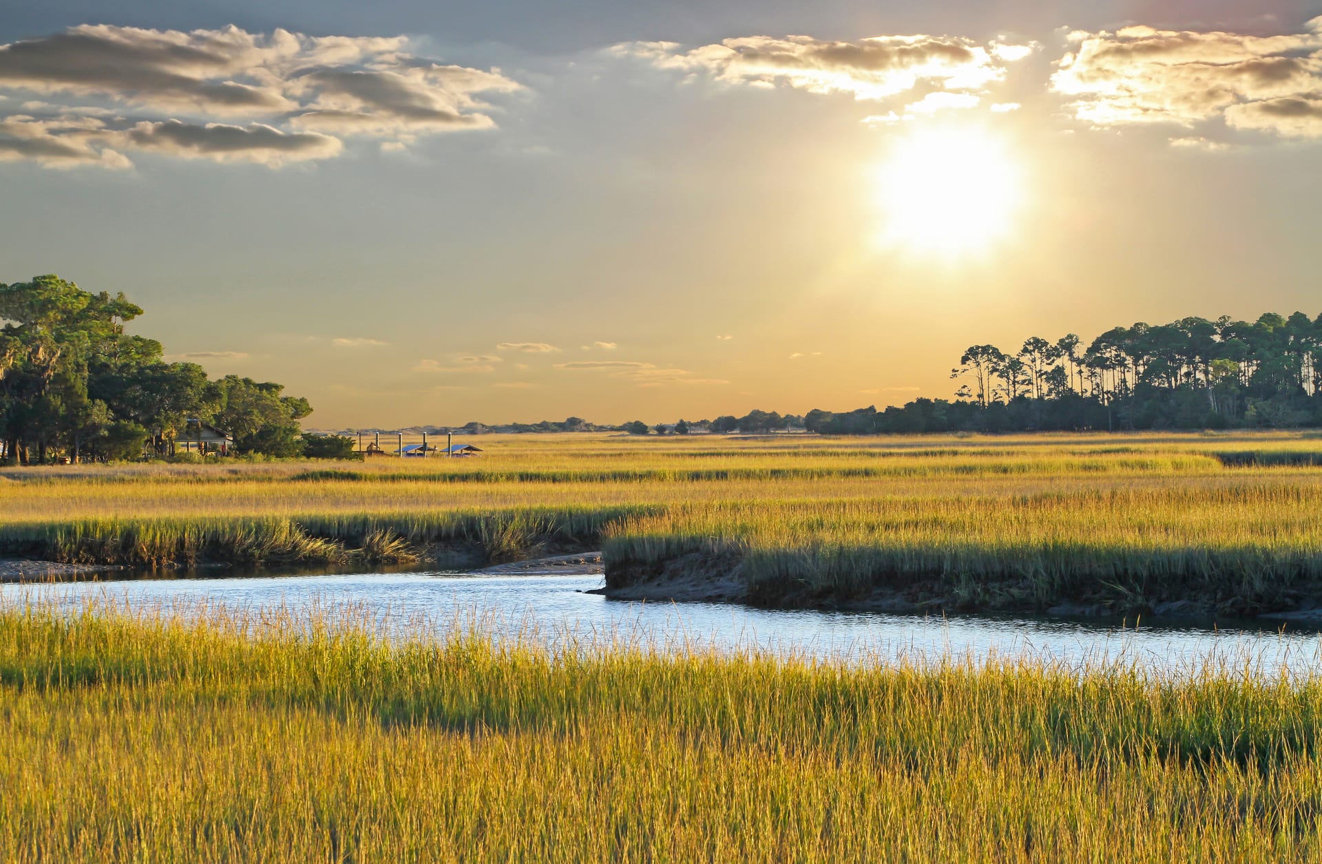 Charleston Lowcountry coastline at sunrise